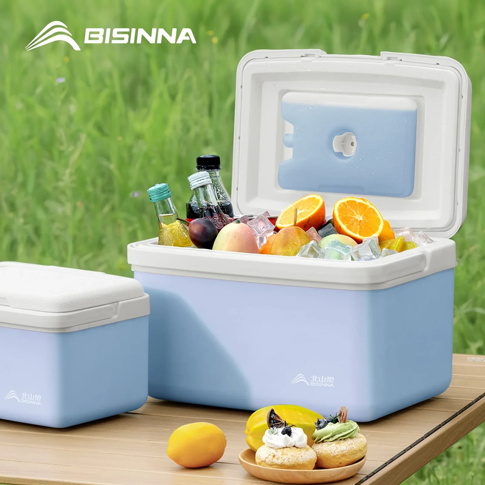 BISINNA Camping Koelbox 6L/9L/15L - Draagbare Passieve Koelbox voor Vissen, Strand en Barbecue